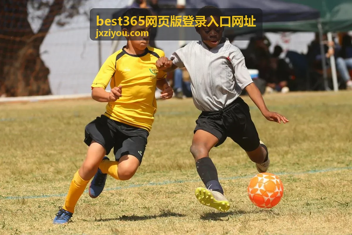 best365网页版登录入口网址 地址核对流程示意图